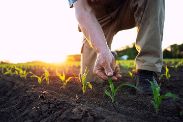 Agricultural Products